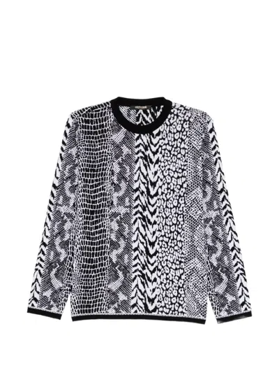 Roberto Cavalli Animal-print Sweater In Gray