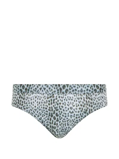 Roberto Cavalli Animal-print Swim Trunks In Blue