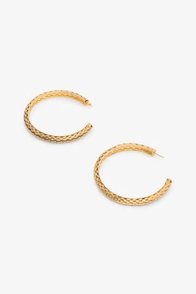 Roberto Cavalli Antique Gold Hoop Earrings With Scale Detailing