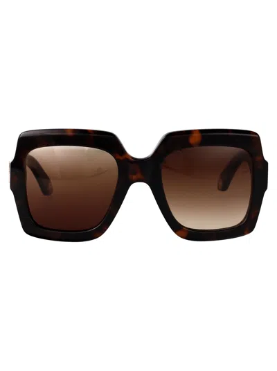 Roberto Cavalli Avana Scura Acetate Sunglasses In Brown