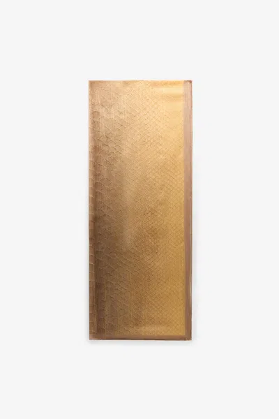 Roberto Cavalli Beige-gold Silk Stole With Scale Print In Multi