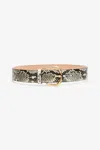 Roberto Cavalli Belt With Fang Buckle In Gray