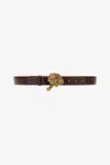 Roberto Cavalli Belt With Gold Buckle In Dark Brown
