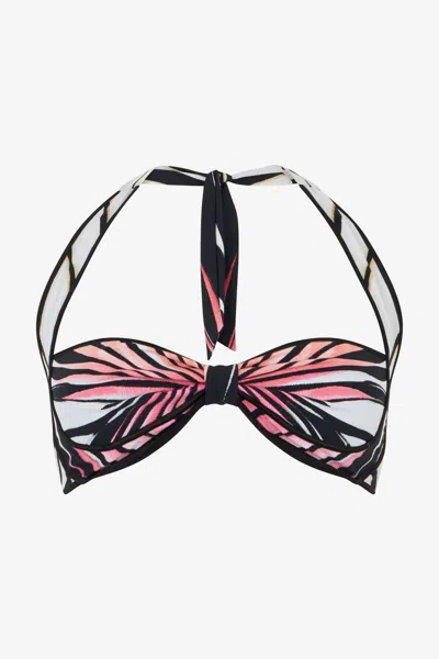 Roberto Cavalli Ray Of Paradise Print Bikini Top In Multi
