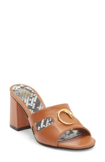 Roberto Cavalli Block Heel Slide Sandal In Brown