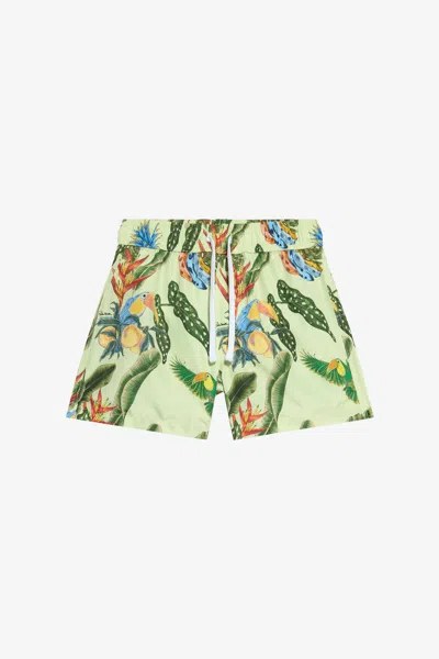 Roberto Cavalli Kids'   - Boy Beachwear Orange 08a In Green