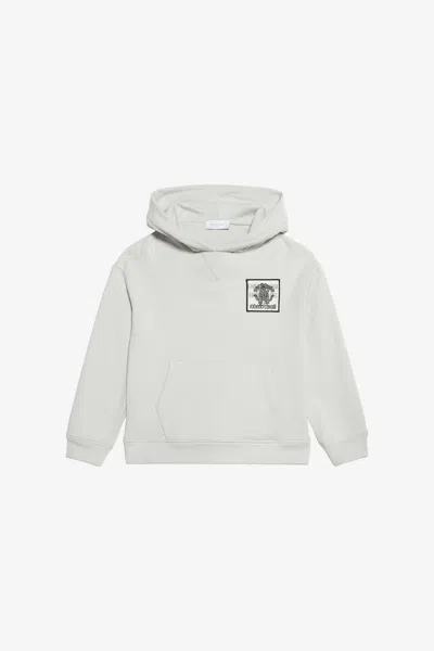 Roberto Cavalli Kids'   - Boy Sweatshirts Ice Grey 08a In Gray