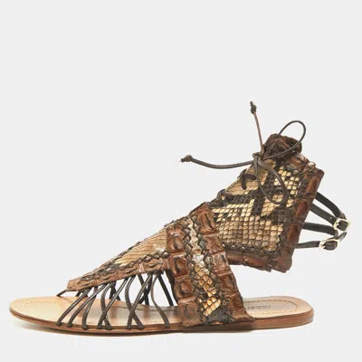 Pre-owned Roberto Cavalli Brown Crocodile And Python Leather Lace Up Sandals Size 36