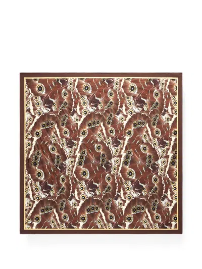 Roberto Cavalli Butterfly-print Scarf In Brown