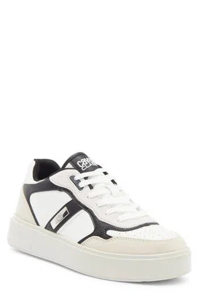 Roberto Cavalli Cavalli Class Low Top Sneaker In White/black/farro