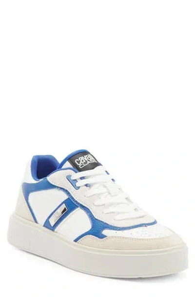 Roberto Cavalli Cavalli Class Low Top Sneaker In White/blue/farro