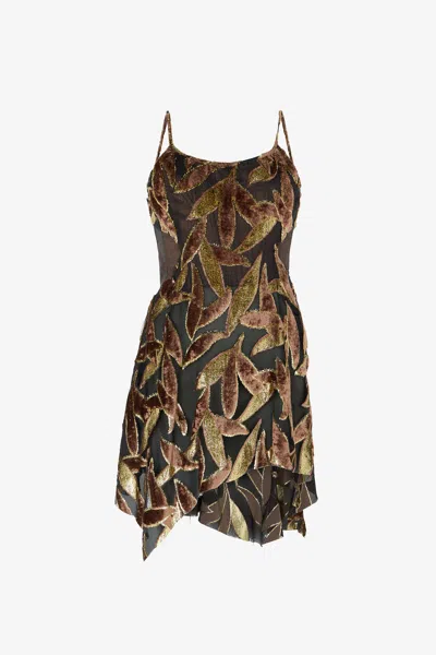 Roberto Cavalli Chocolate Sheer Mini Dress With Foliage Motif In Multi