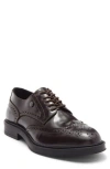 Roberto Cavalli Crip Wingtip Derby In Brown