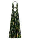 Roberto Cavalli Cut-out Lemon-print Maxi Dress In Green