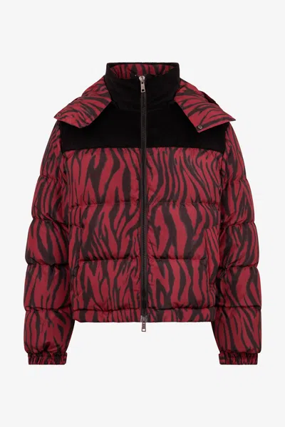 Roberto Cavalli Zebra Print Down Jacket In Brown