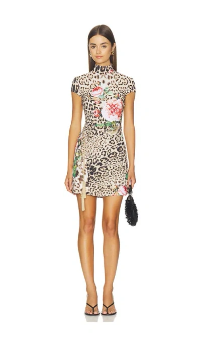 Roberto Cavalli Dress In Brown