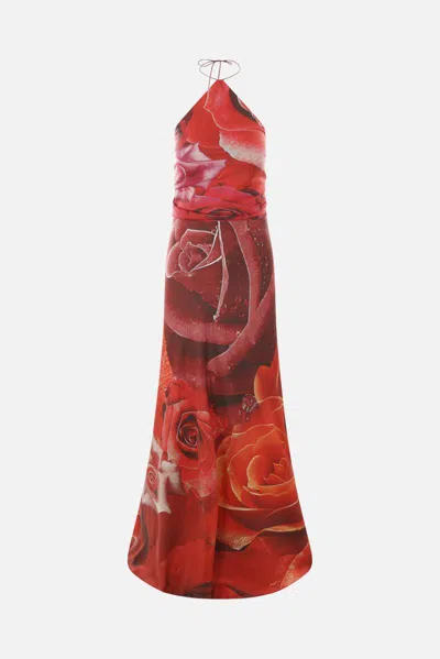 Roberto Cavalli Dresses