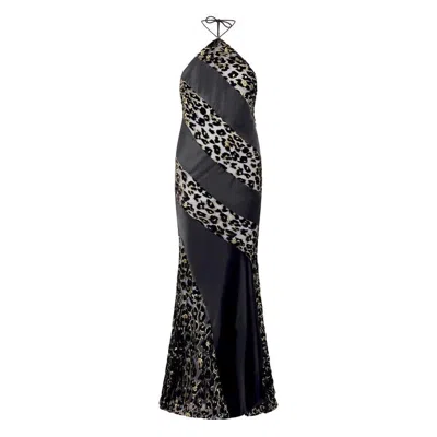 ROBERTO CAVALLI ROBERTO CAVALLI DRESSES