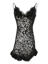Roberto Cavalli Lace-trimmed Leopard-pattern Mini Dress In Black