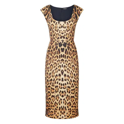 Roberto Cavalli Womens Naturale Leopard-print Woven Midi Dress In Brown