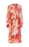 ROBERTO CAVALLI ROBERTO CAVALLI DRESSES