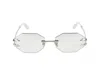Roberto Cavalli Sunglasses In Palladium Polished Total