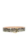 Roberto Cavalli Fang Buckle Snakeskin Belt In Animal Print