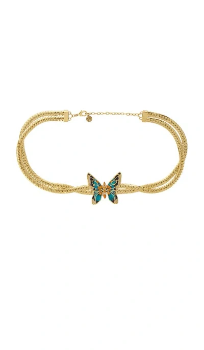 Roberto Cavalli Fashion Belt In Mult & Gold