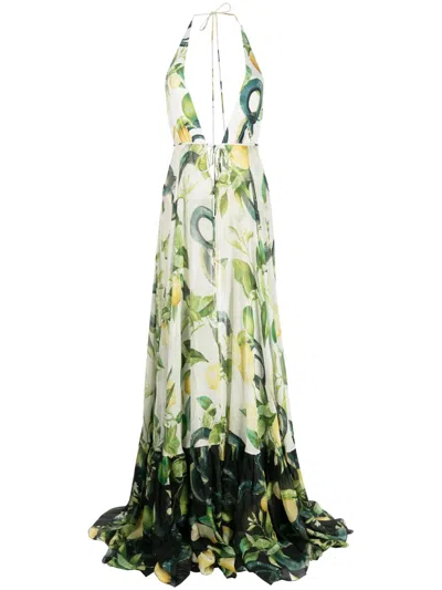 Roberto Cavalli Printed Silk Chiffon Self-tie Maxi Dress In Multicolor
