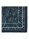 Roberto Cavalli Shawl With Freedom Print In Blue