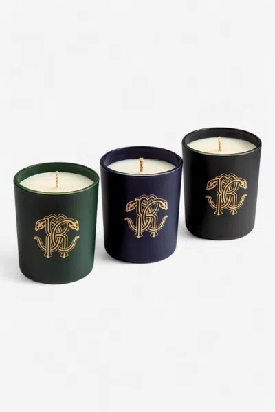 Roberto Cavalli Gold Jungle Set Of Three Scented Candles 80 G In Multi