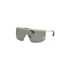 Roberto Cavalli Gold Metal Sunglasses In Brown