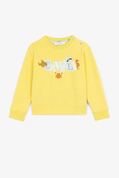 Roberto Cavalli Graphic-print Crew-neck Sweatshirt In Yellow