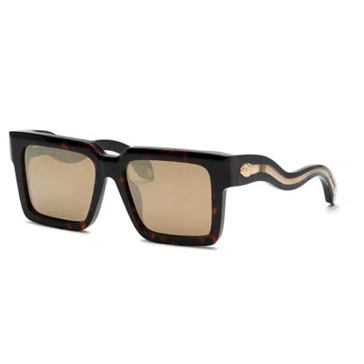 Roberto Cavalli Havana Lucida Acetate Sunglasses In Black