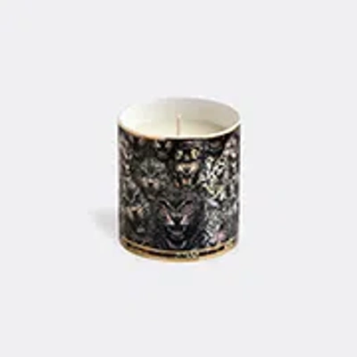 Roberto Cavalli Home Candlelight And Scents Multicolor Uni