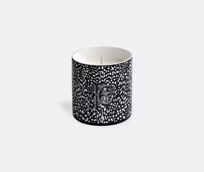 Roberto Cavalli Home Candlelight And Scents Multicolor Uni
