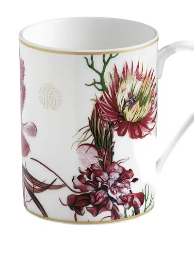 Roberto Cavalli Home Floral-print Teacup In Multi