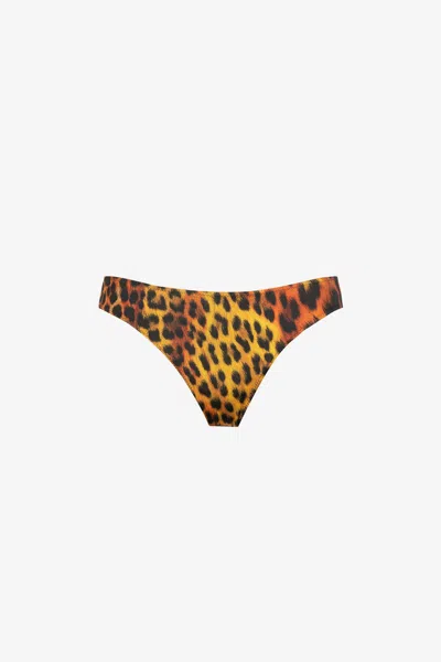 Roberto Cavalli Jaguar-print Bikini Briefs In Orange