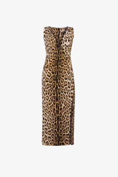 Roberto Cavalli Jaguar-print Dress In Light Brown