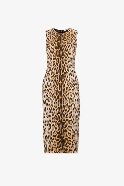 Roberto Cavalli Jaguar-print Dress In Light Brown
