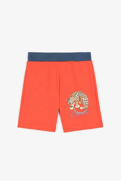 Roberto Cavalli Jaguar-print Logo Shorts In Orange