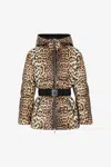 Roberto Cavalli Leopard-print Padded Jacket In Light Brown