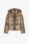 Roberto Cavalli Jaguar-print Padded Jacket In Light Brown