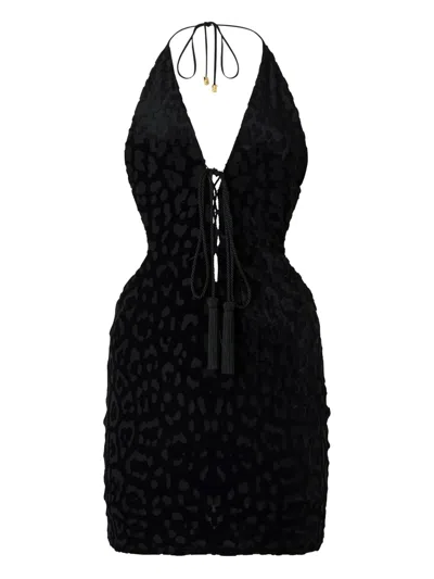 Roberto Cavalli Jaguar Skin Pattern Mini Dress In Black