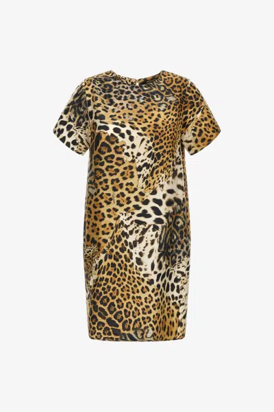 Roberto Cavalli Jaguar Skin Print Dress In Light Brown