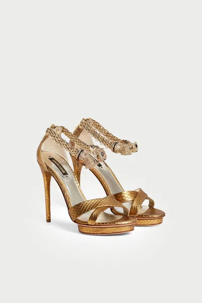 Roberto Cavalli Jewel Panther Sandals In Gold