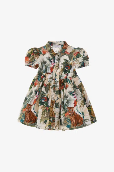 Roberto Cavalli Jungle Print Dress In Green