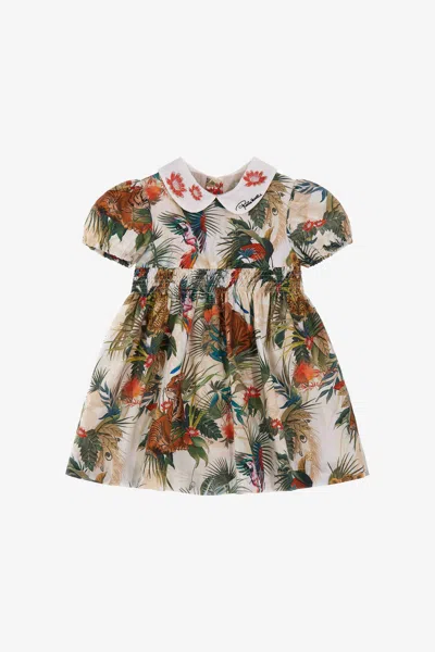 Roberto Cavalli Jungle Print Dress In Green