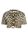 Roberto Cavalli Animal-print Cotton Crop Top In Brown
