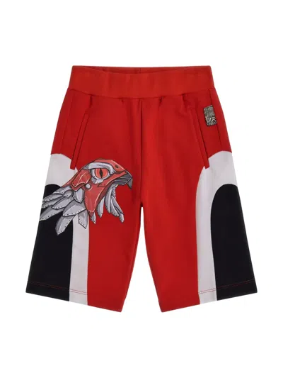Roberto Cavalli Kids' Eagle-print Cotton Shorts In Red